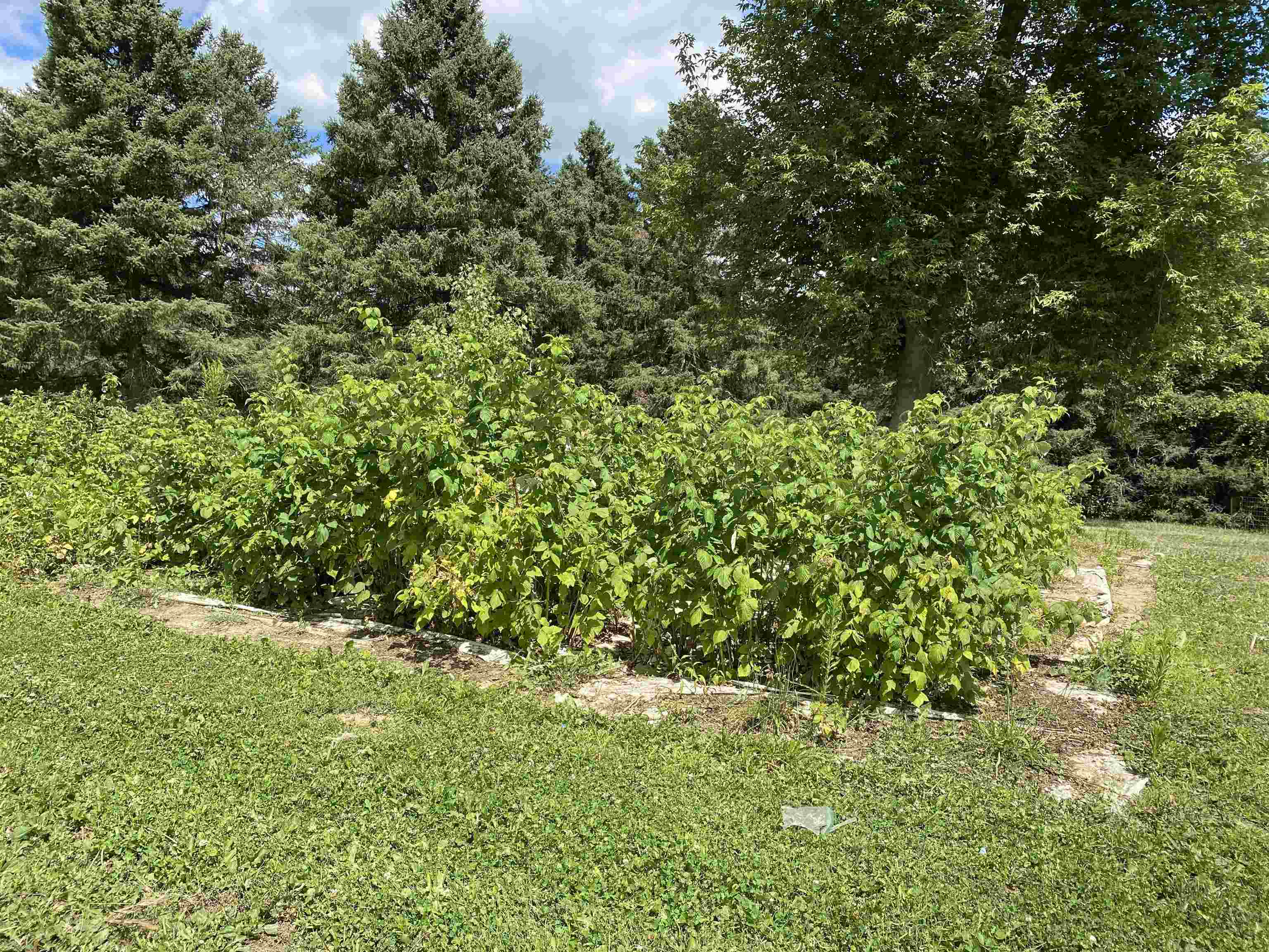 5245 North Lake Road Columbiaville, MI 48421 - Photo 29 of 83 Gallery Image 29