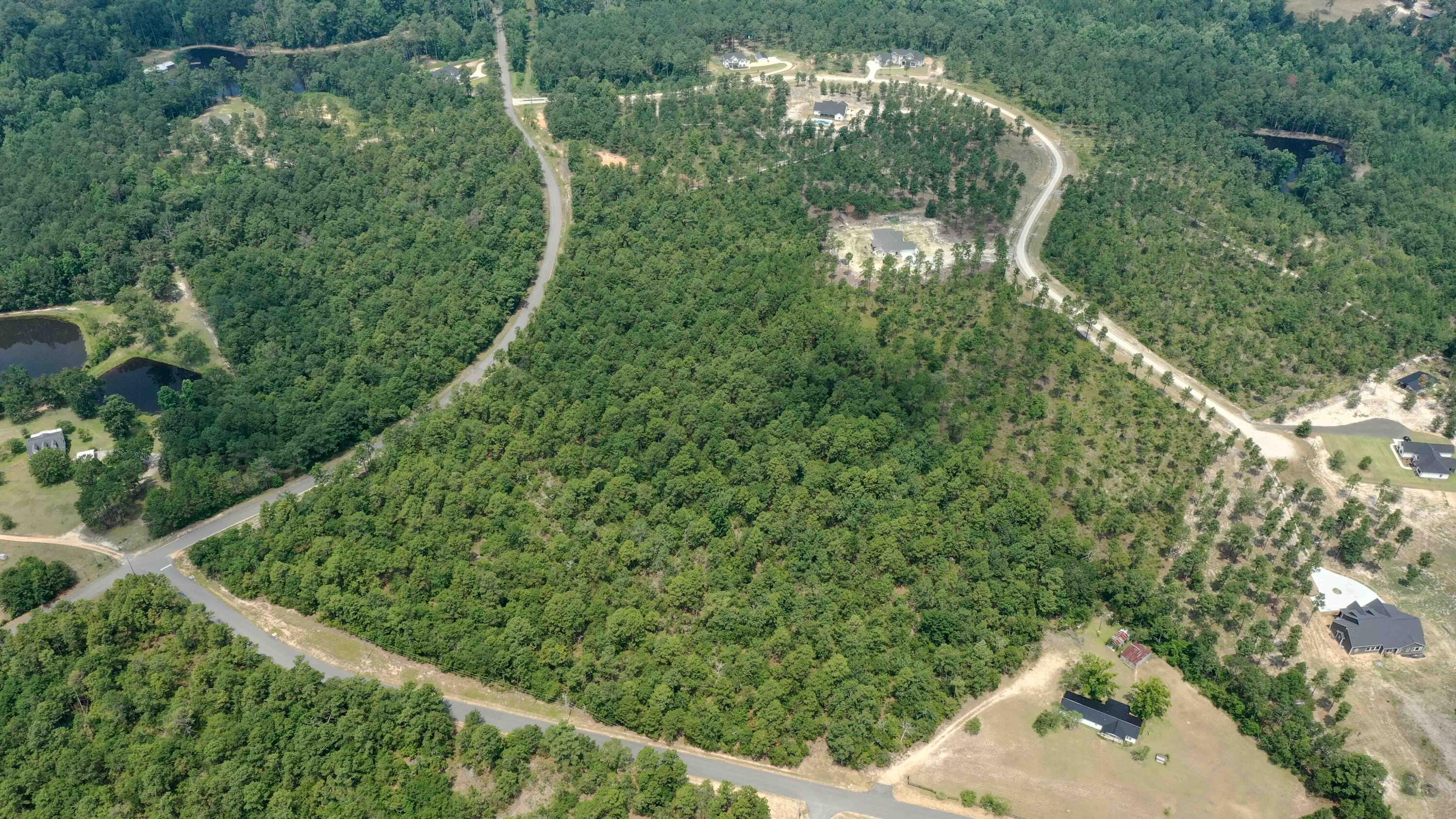 7 Mt Zion Road Williston, SC 29853 - Photo 12 of 15