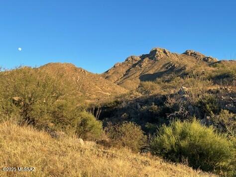394 Esponja Court, Unit 85 Rio Rico, AZ 85648 - Photo 9 of 10 east-mtsancayetano