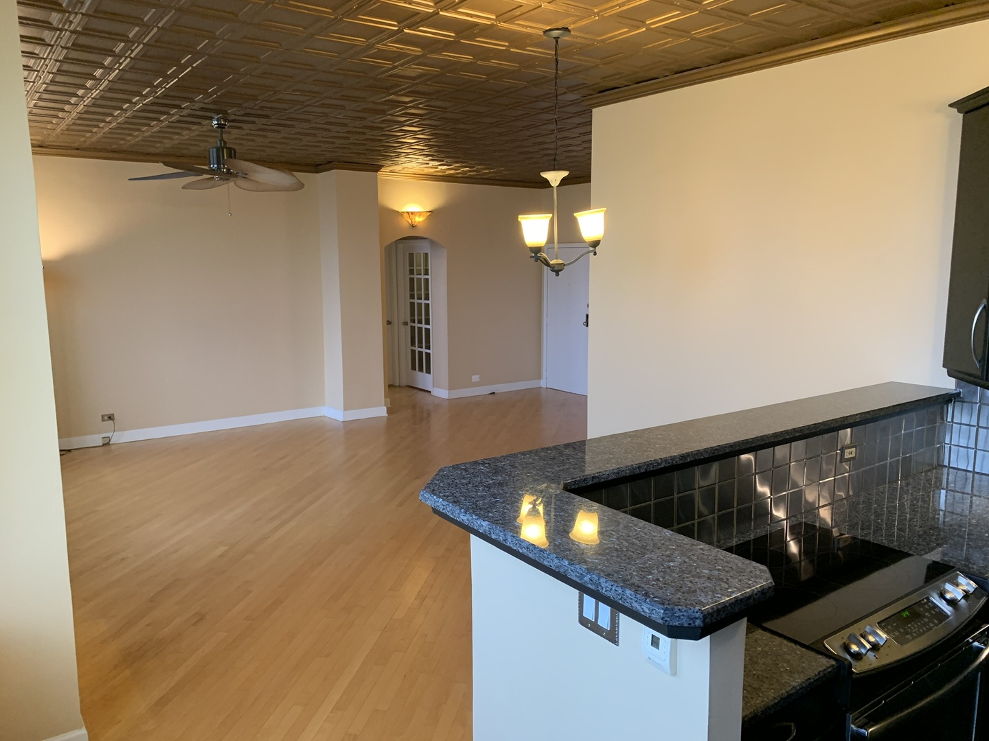 600 South Dearborn Street, Unit 2003 Chicago, IL 60605 - Photo 14 of 32