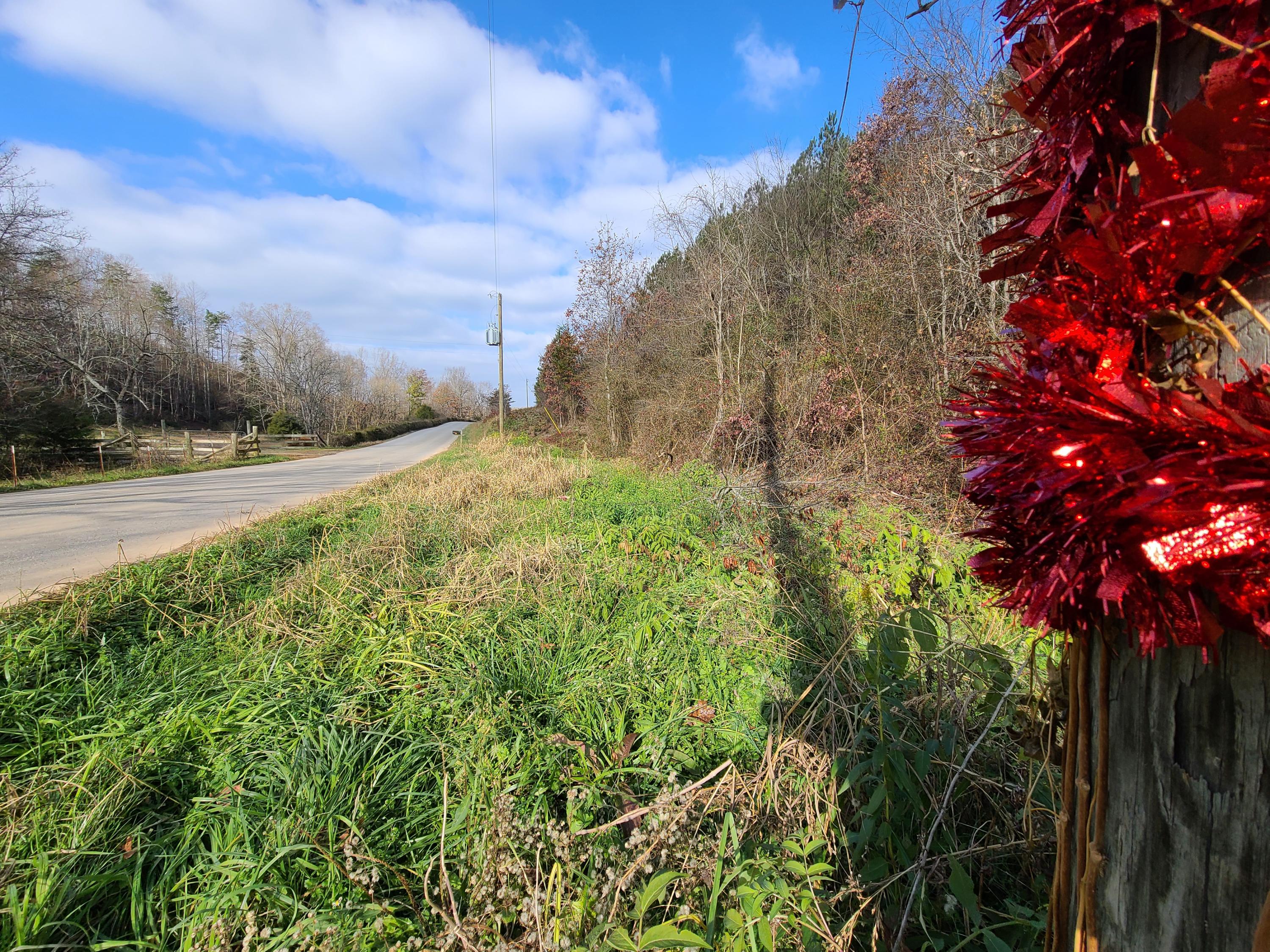 Rausin Road Philadelphia, TN 37846 - Photo 1 of 33 Right side of road.