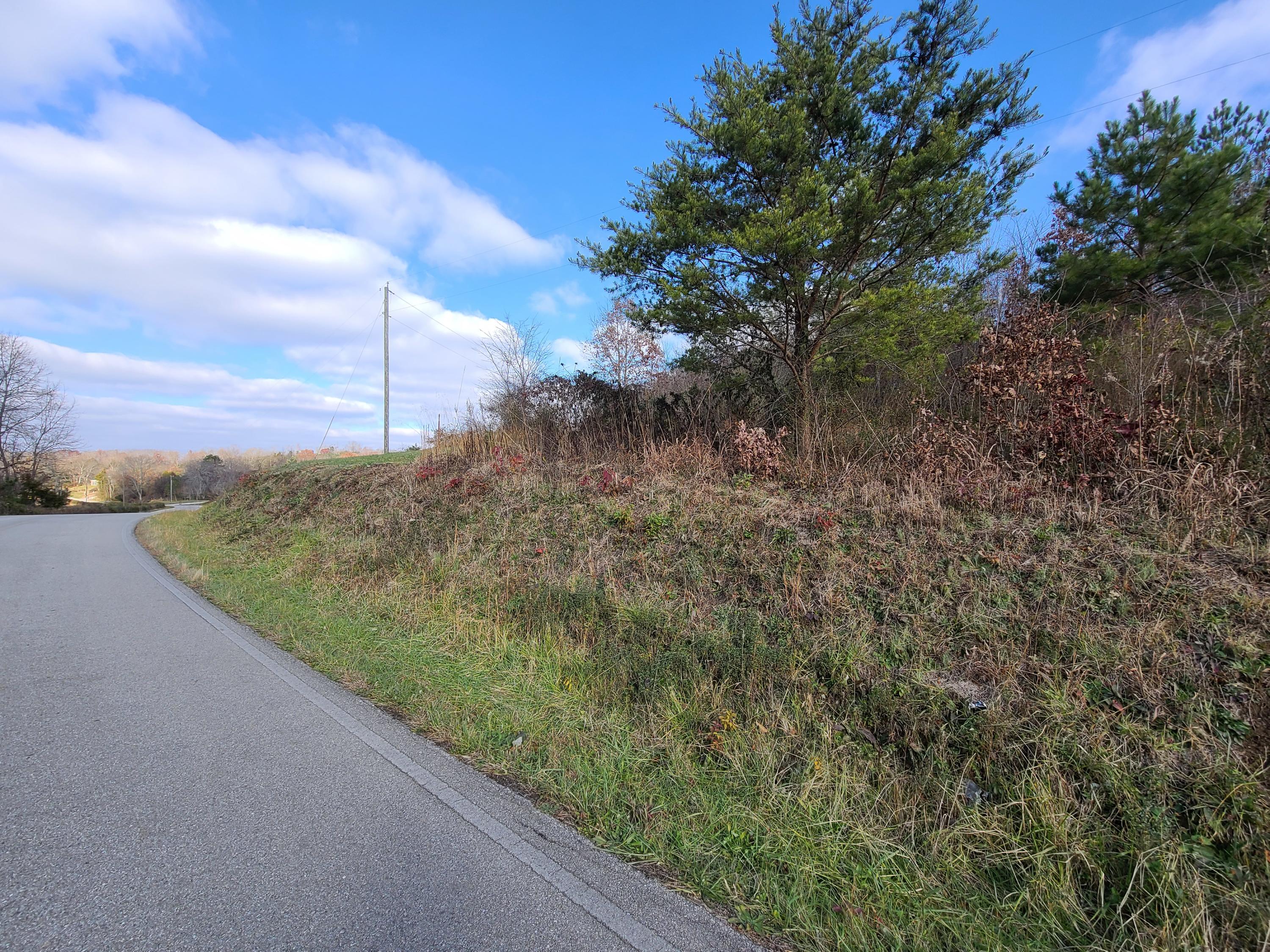 Rausin Road Philadelphia, TN 37846 - Photo 11 of 33 Right side of road.