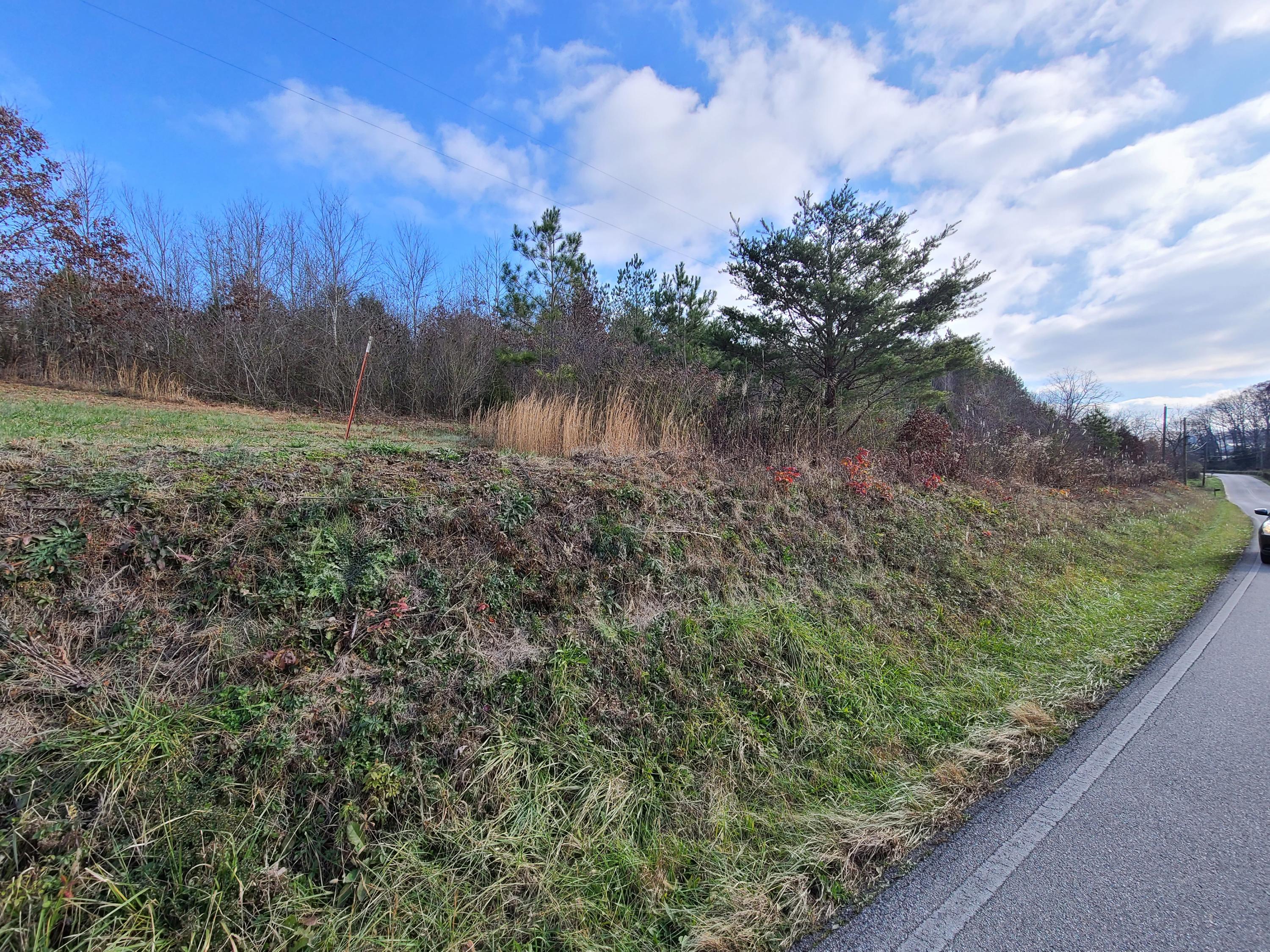 Rausin Road Philadelphia, TN 37846 - Photo 13 of 33 Left side of road.