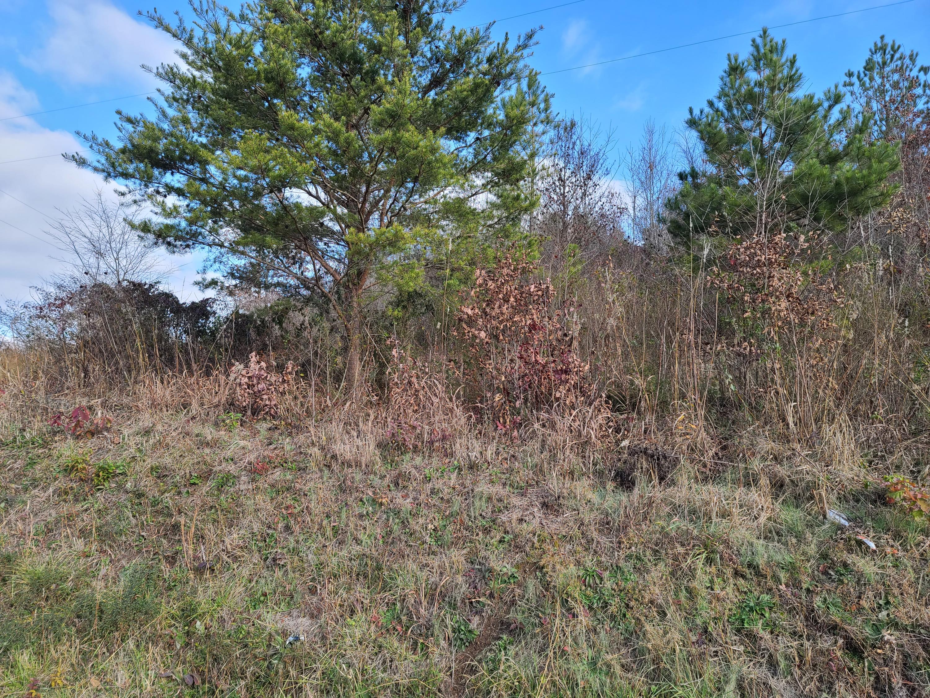 Rausin Road Philadelphia, TN 37846 - Photo 15 of 33 Land.