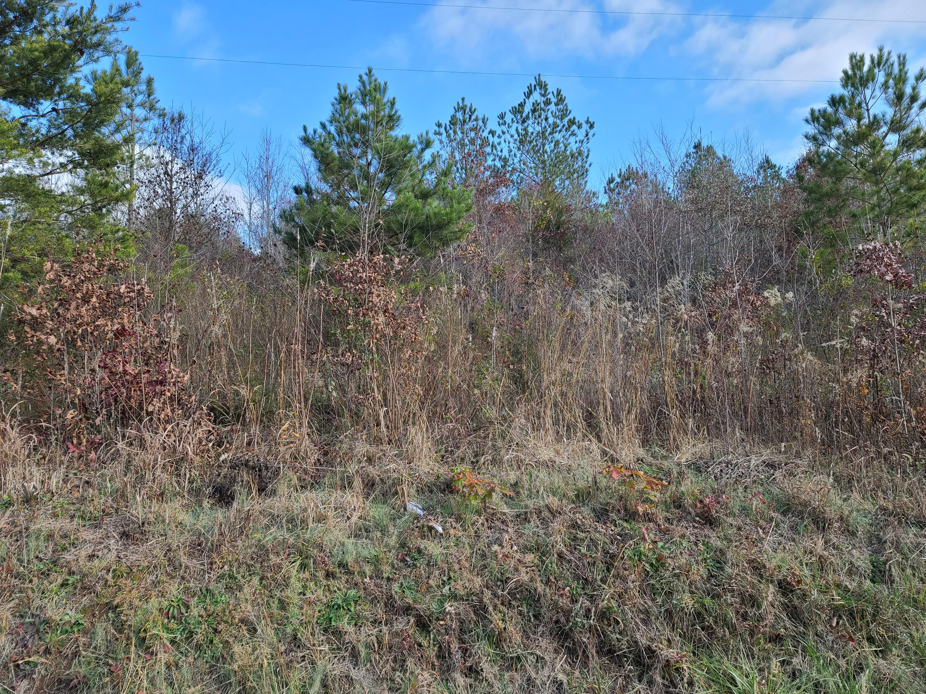 Rausin Road Philadelphia, TN 37846 - Photo 17 of 33 Land.