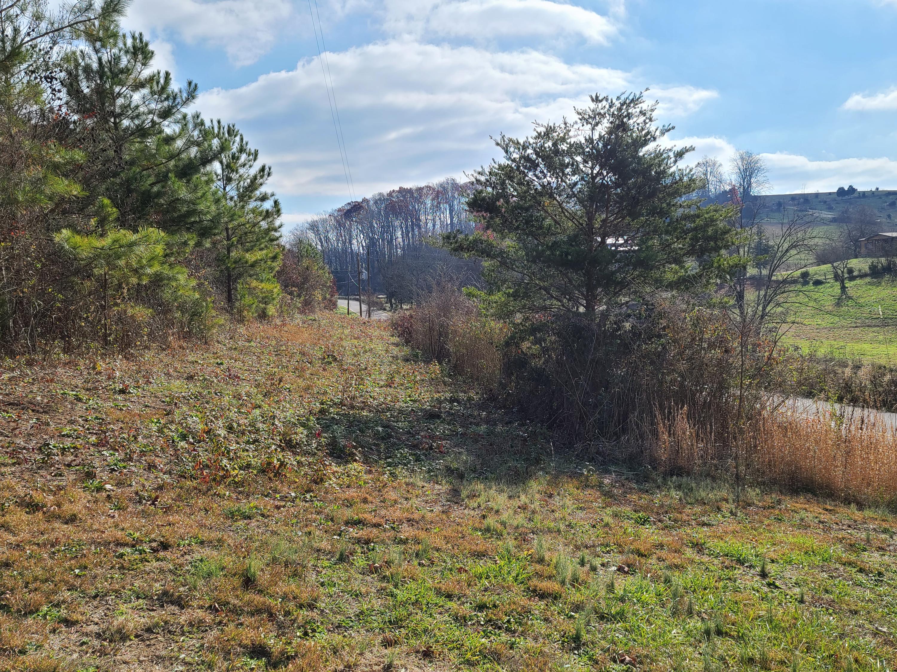 Rausin Road Philadelphia, TN 37846 - Photo 19 of 33 Left side of road.