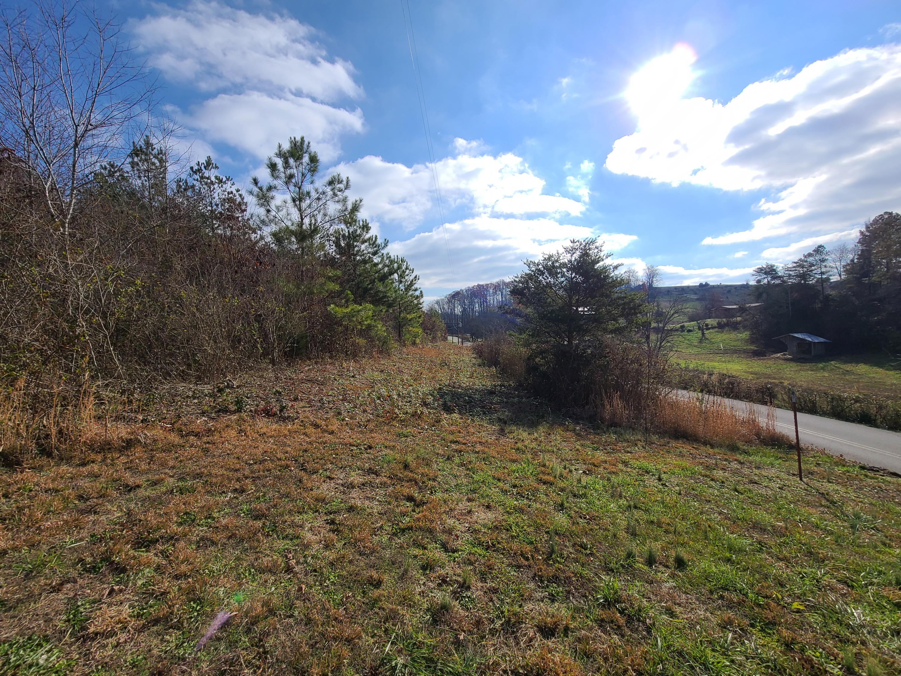 Rausin Road Philadelphia, TN 37846 - Photo 20 of 33 Left side of road.