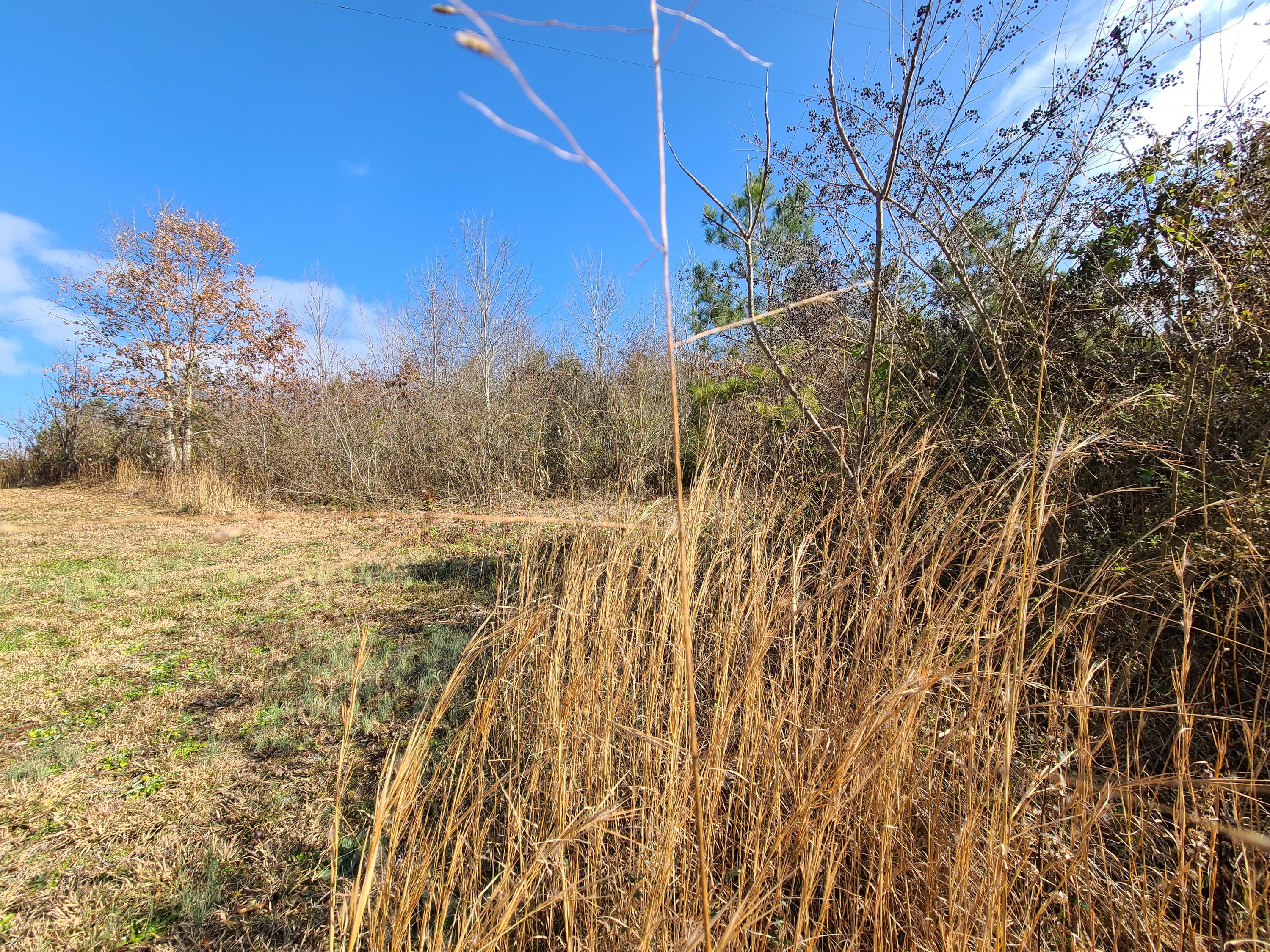Rausin Road Philadelphia, TN 37846 - Photo 21 of 33 Land.