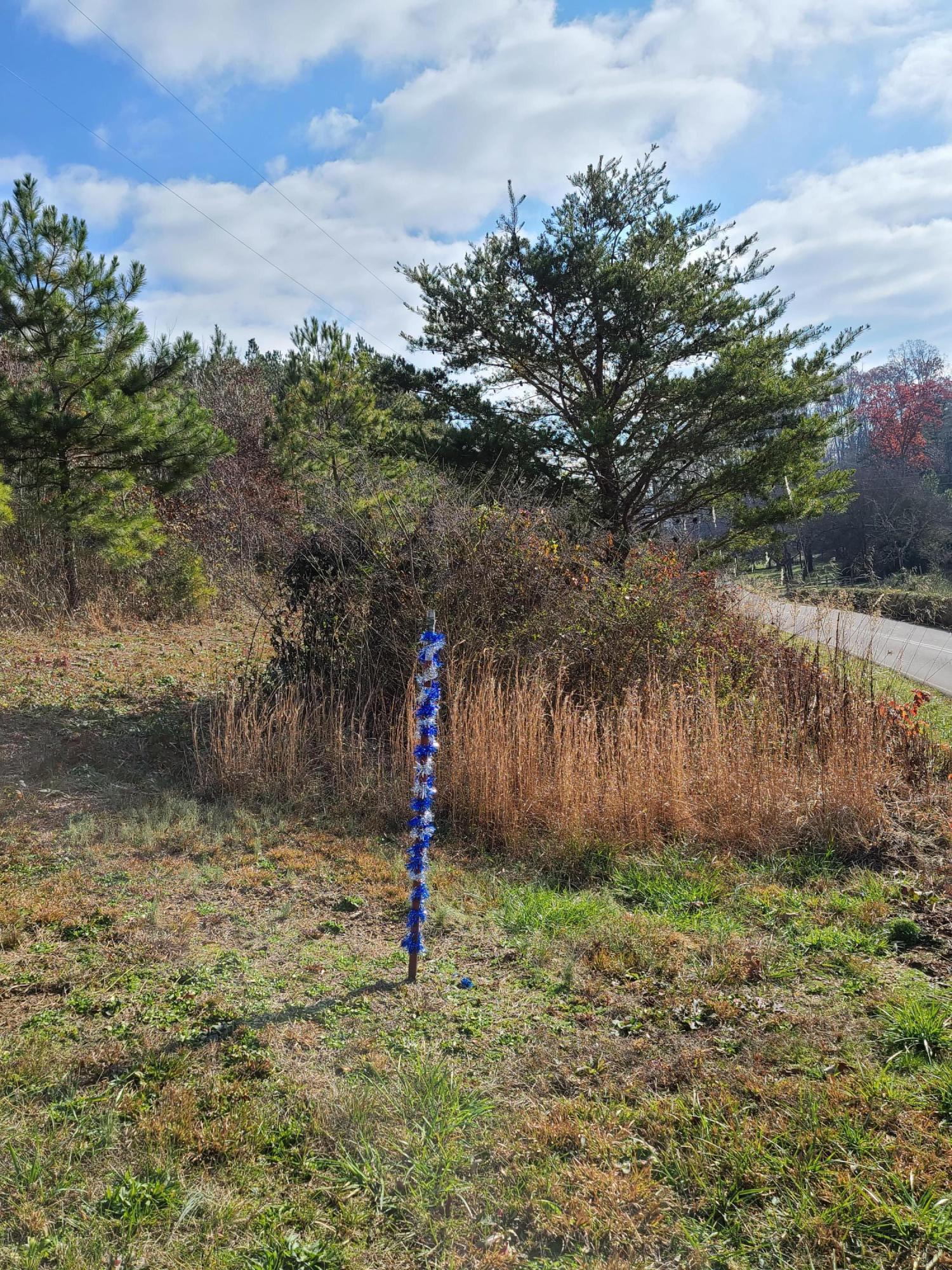 Rausin Road Philadelphia, TN 37846 - Photo 22 of 33 Property Line Marker.