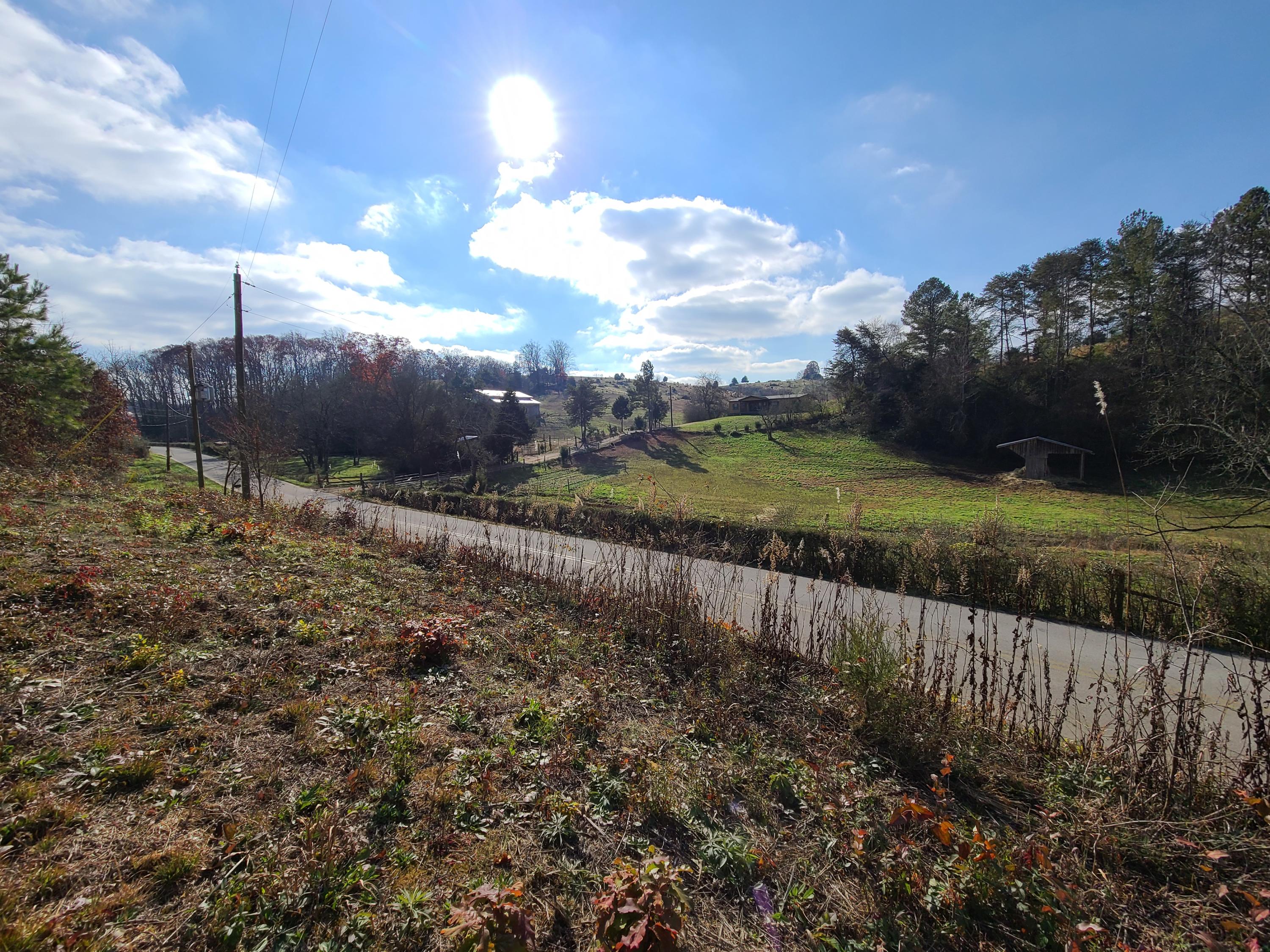 Rausin Road Philadelphia, TN 37846 - Photo 24 of 33 Standing on land.