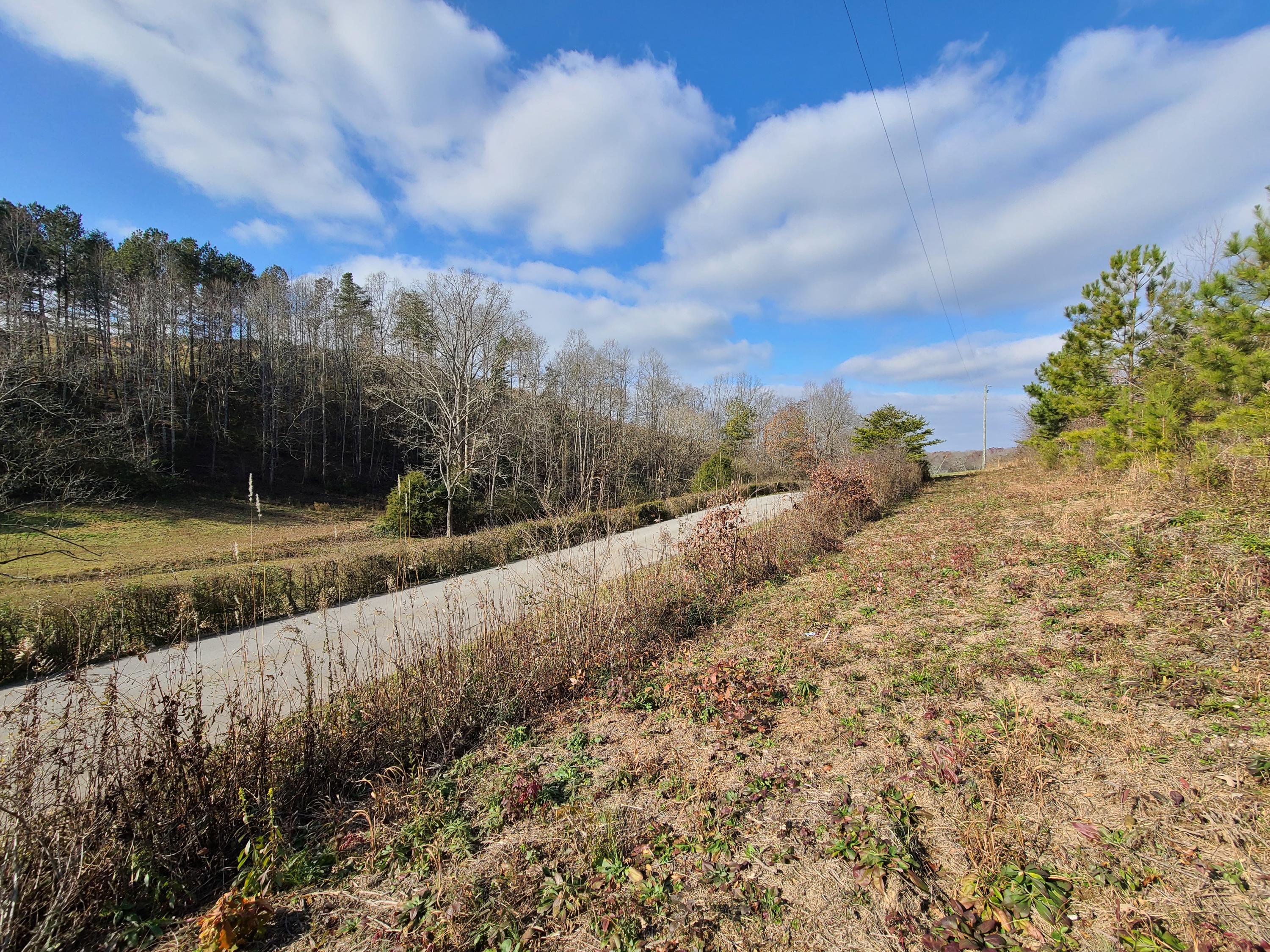Rausin Road Philadelphia, TN 37846 - Photo 25 of 33 Standing on land.