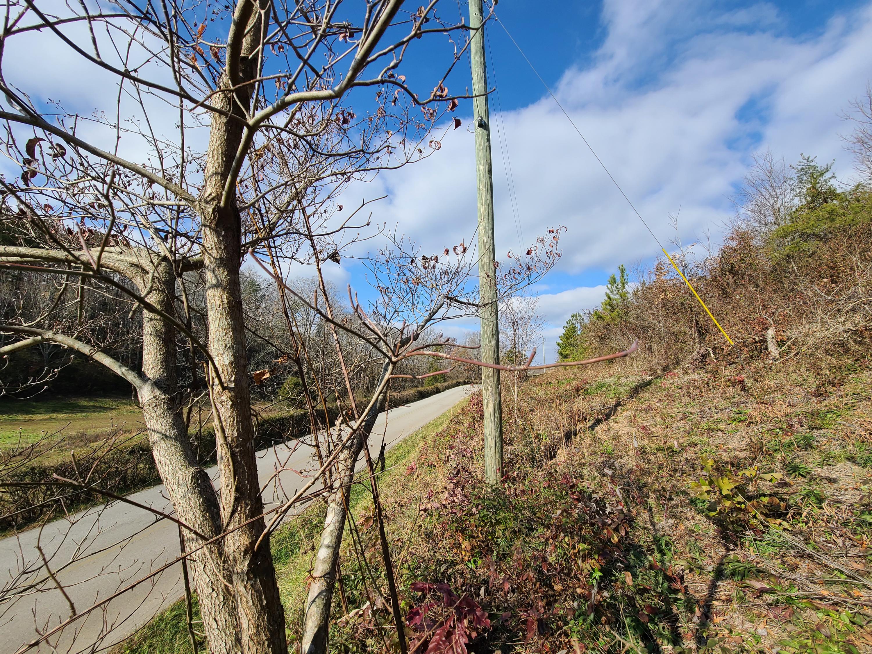 Rausin Road Philadelphia, TN 37846 - Photo 28 of 33 Standing on land.