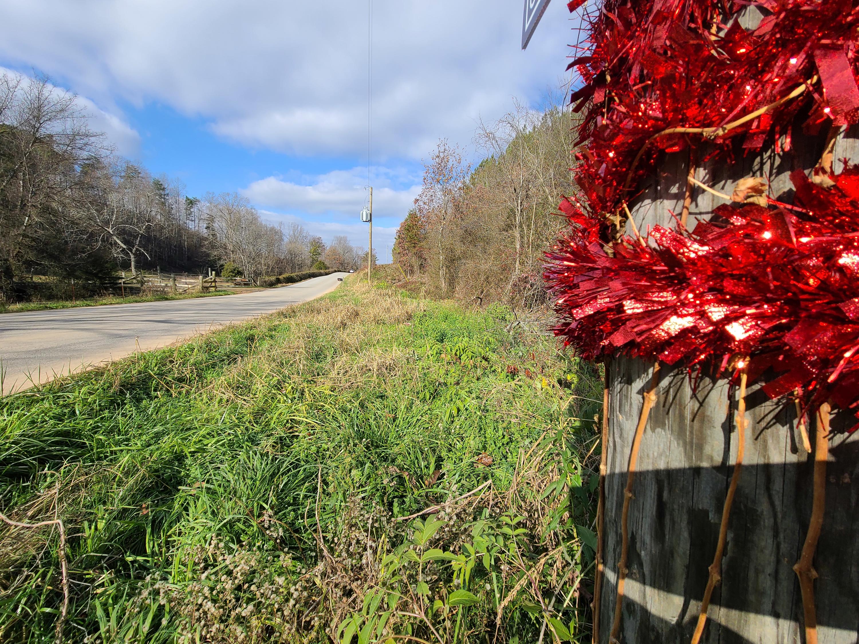 Rausin Road Philadelphia, TN 37846 - Photo 29 of 33 Near property line.
