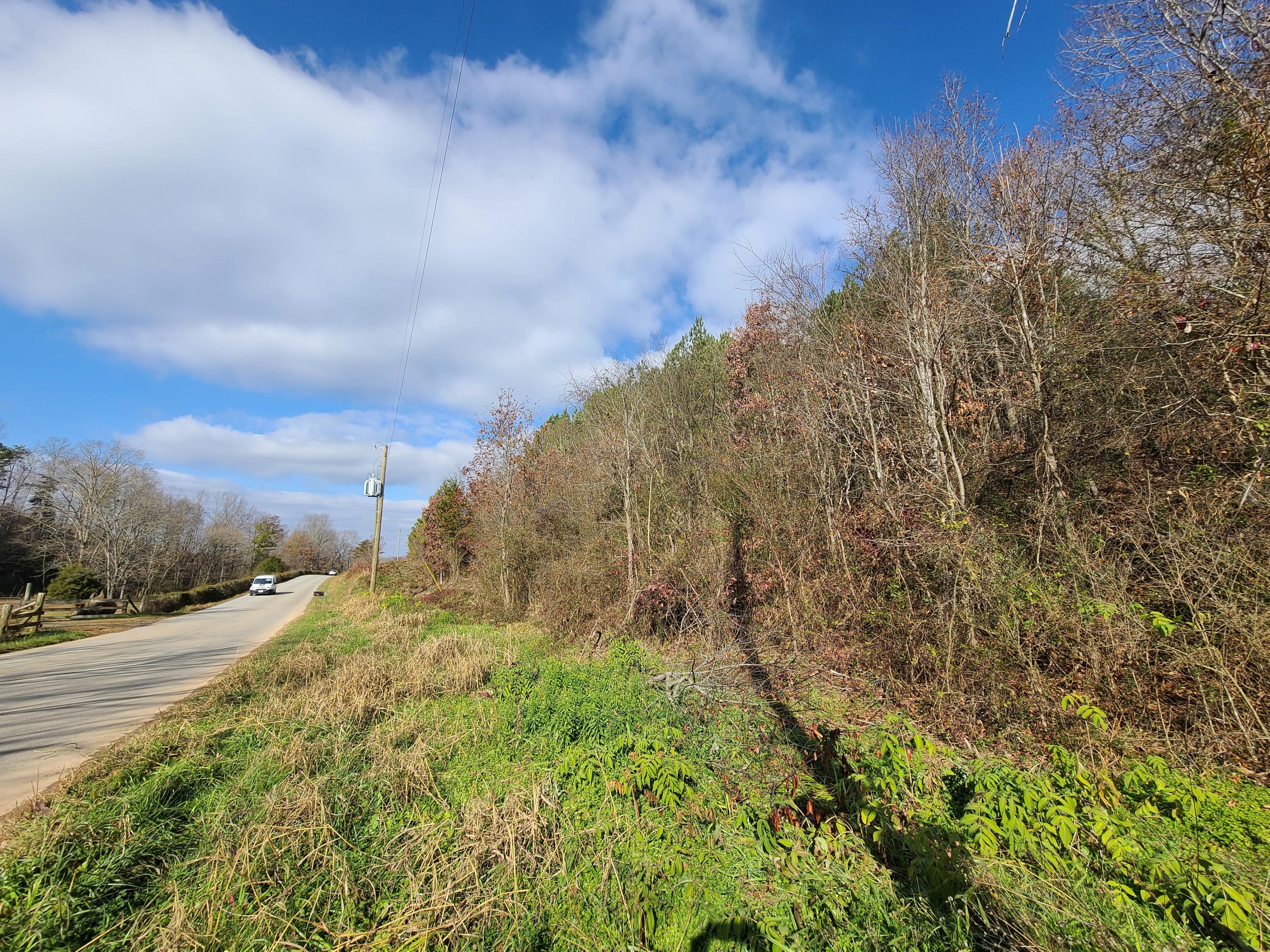 Rausin Road Philadelphia, TN 37846 - Photo 30 of 33 Standing on land.