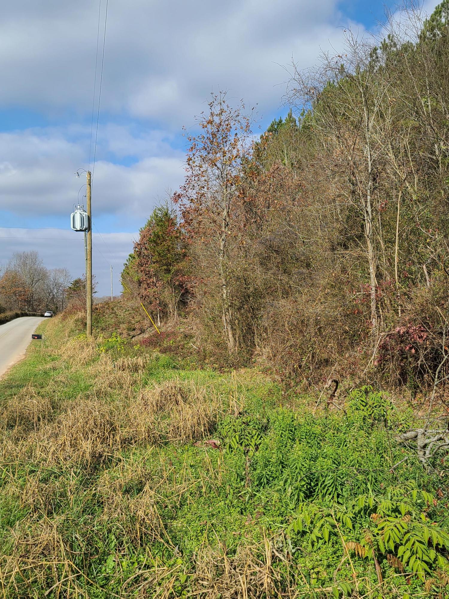 Rausin Road Philadelphia, TN 37846 - Photo 31 of 33 Power nearby.