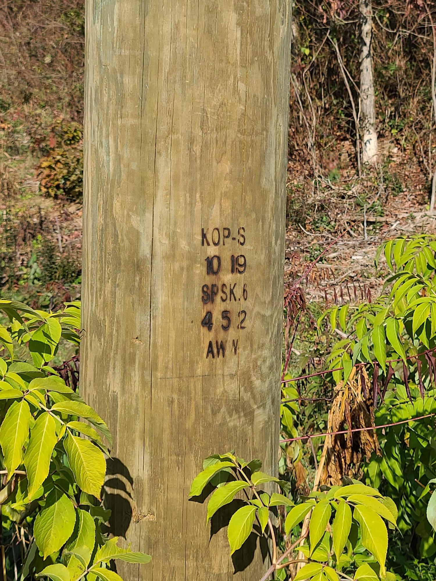 Rausin Road Philadelphia, TN 37846 - Photo 33 of 33 Power nearby.