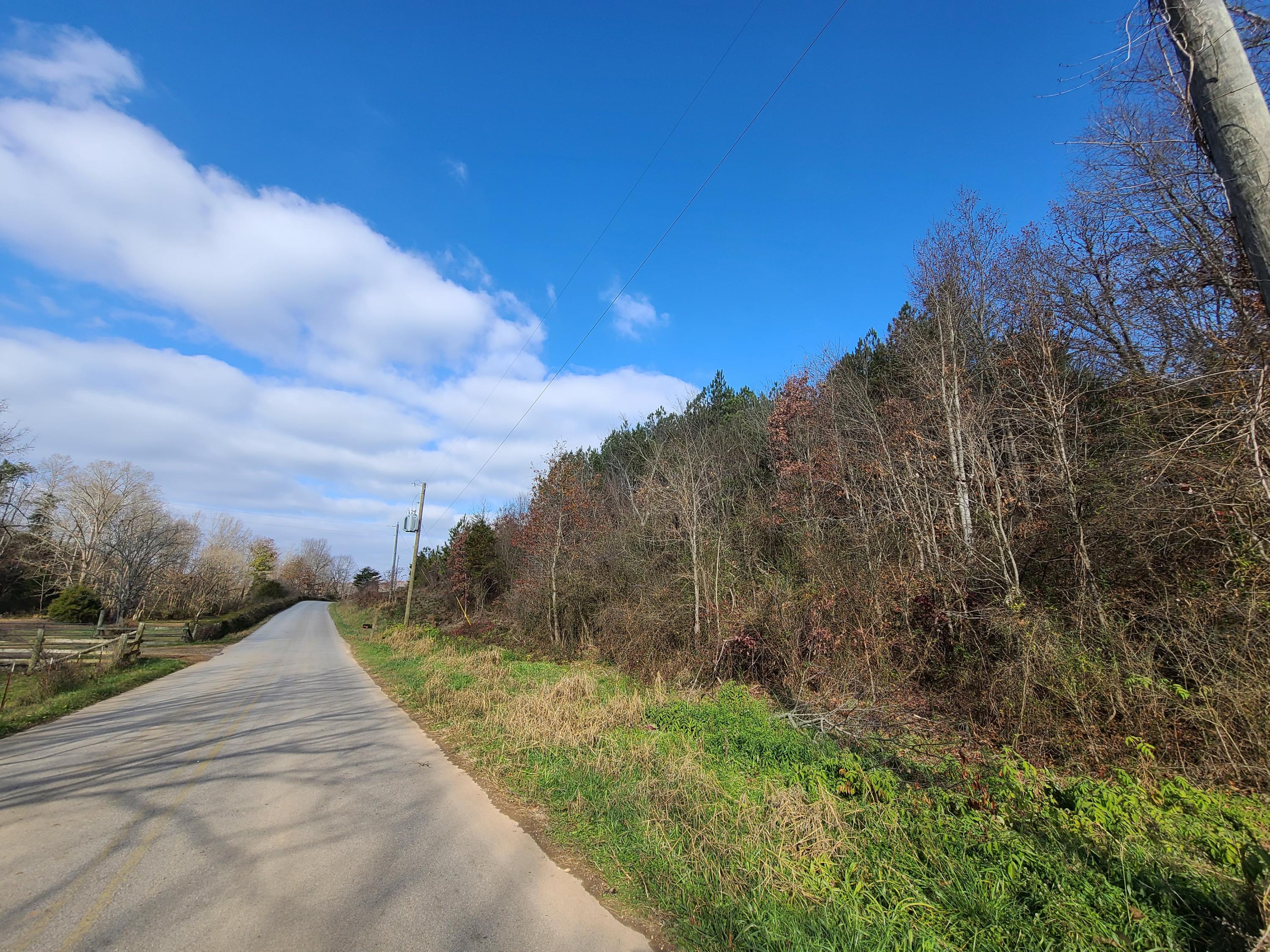 Rausin Road Philadelphia, TN 37846 - Photo 9 of 33 Right side of road.