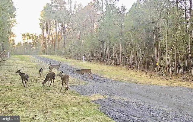 $439,900 | 5 Seagrass Court, King George, VA 22485