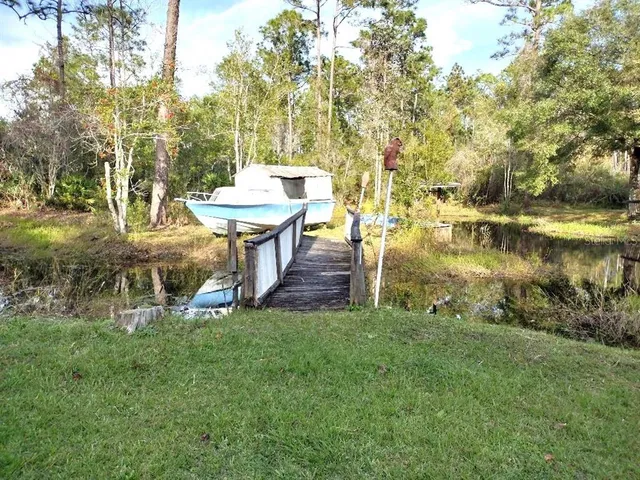 a view of a garden with a bench and some trees