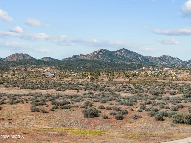 a view of a dry yard with mountains in the background