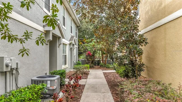 a view of path with flower plants