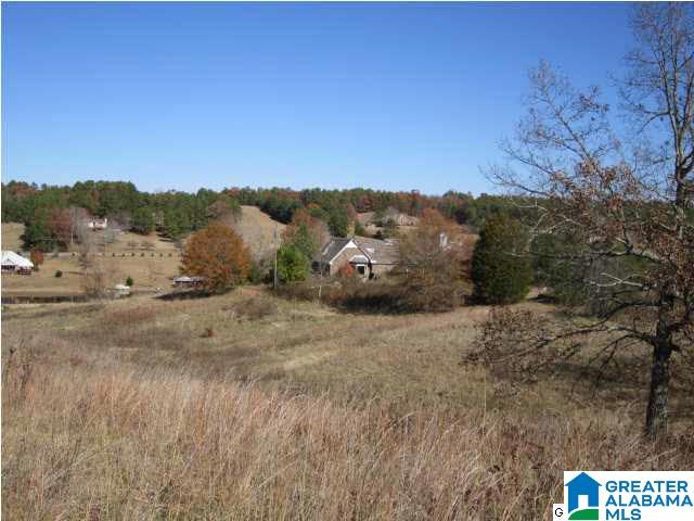 772 Highway 13 Helena Al Helena, AL 35080 - Photo 6 of 8