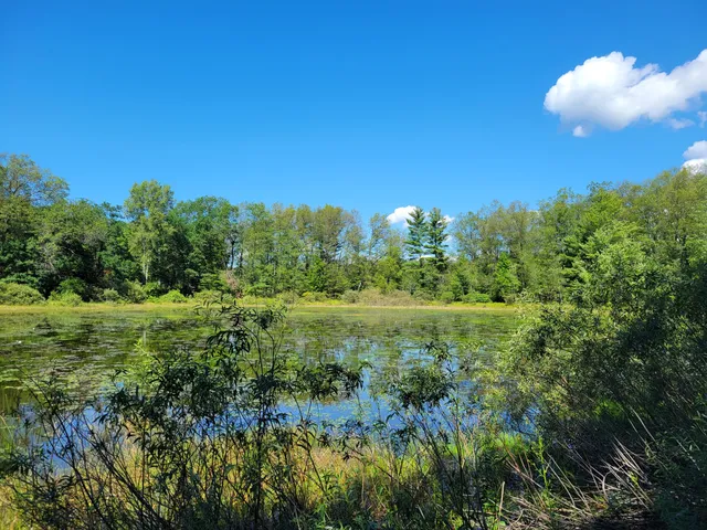 $17,000 | 1-9 Cranberry Street, Wellston, MI 49689