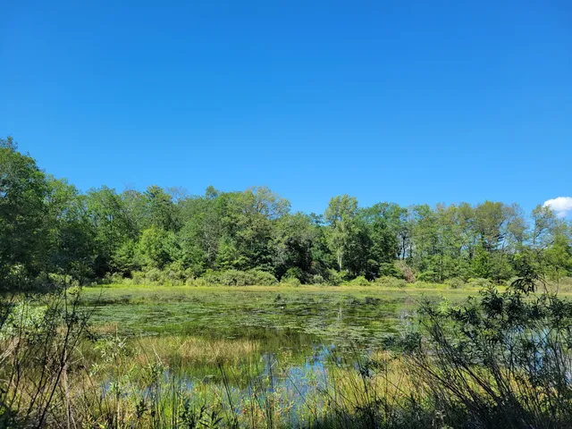 $17,000 | 1-9 Cranberry Street, Wellston, MI 49689