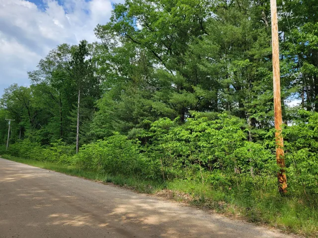 $17,000 | 1-9 Cranberry Street, Wellston, MI 49689