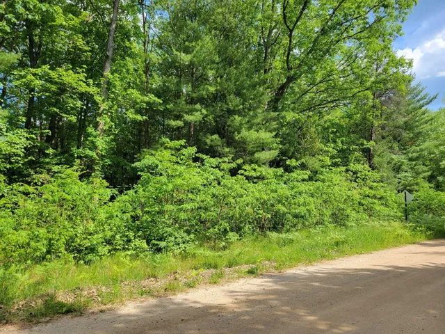 $17,000 | 1-9 Cranberry Street, Wellston, MI 49689