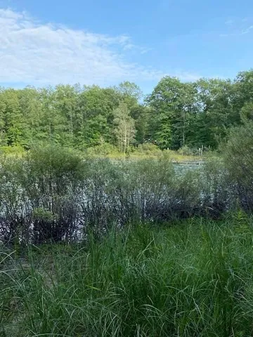 $17,000 | 1-9 Cranberry Street, Wellston, MI 49689