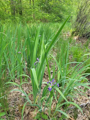 $17,000 | 1-9 Cranberry Street, Wellston, MI 49689