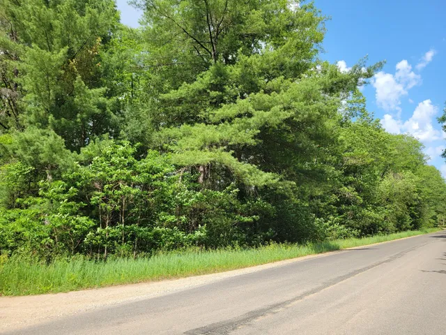 $17,000 | 1-9 Cranberry Street, Wellston, MI 49689