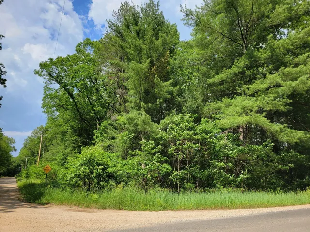 $17,000 | 1-9 Cranberry Street, Wellston, MI 49689