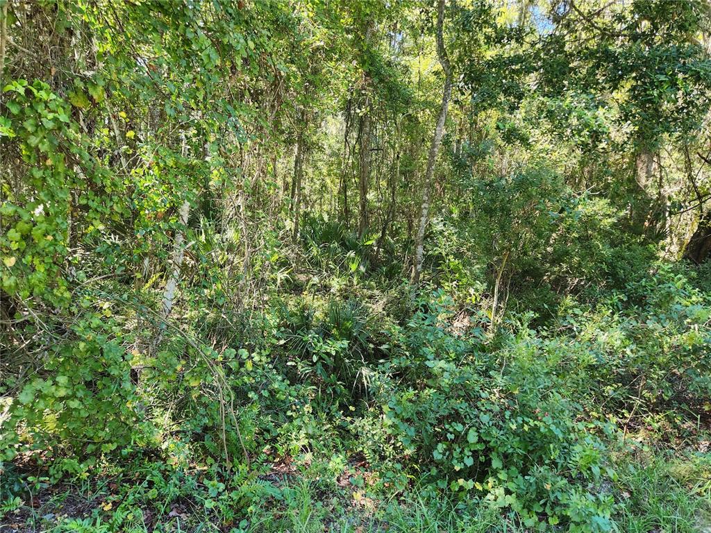 114 Ridgeline Avenue Satsuma, FL 32189 - Photo 1 of 1