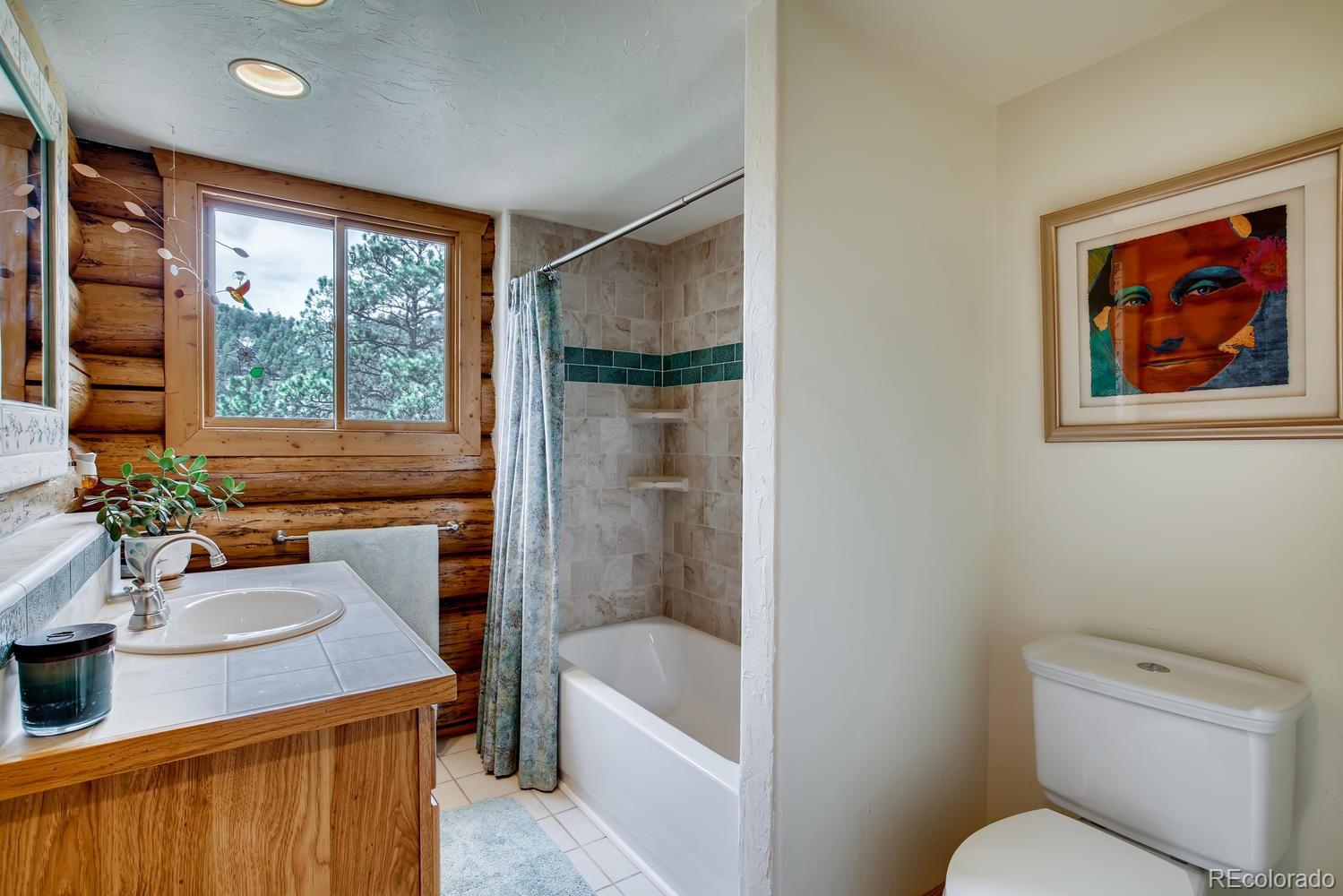 13849 Elsie Road Conifer, CO 80433 - Photo 16 of 28 Gallery Image 16