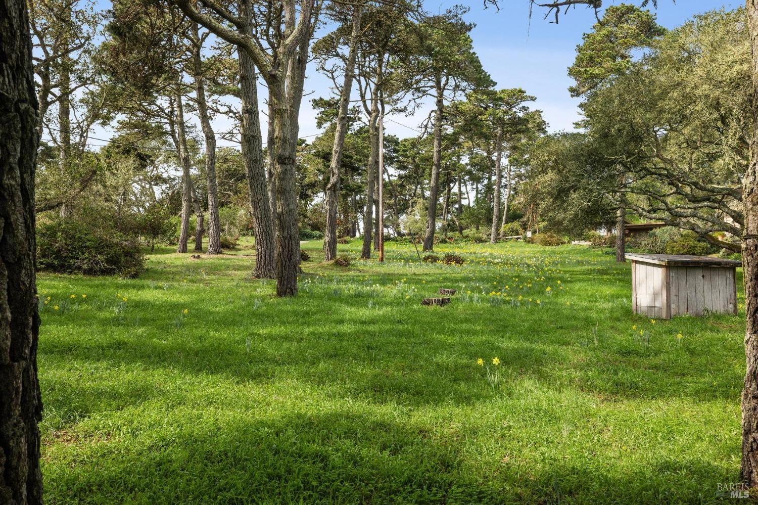 1208 Pierce Point Road Inverness, CA 94937 - Photo 78 of 89