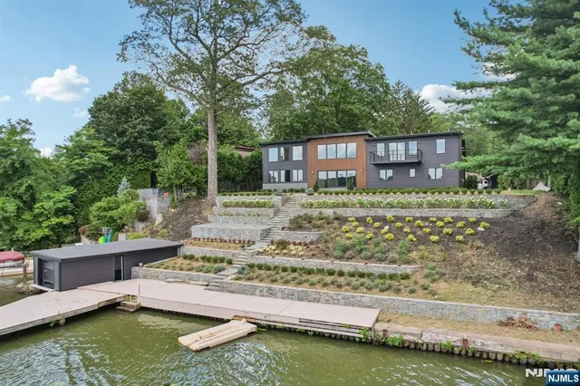 a wooden floor covered with tall trees