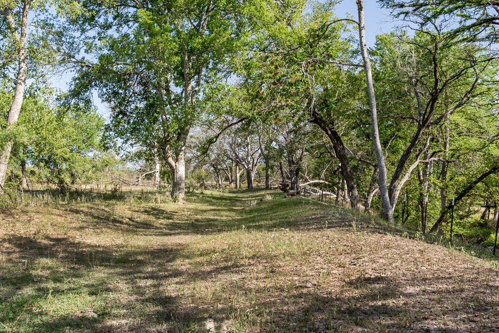 535 China Street Center Point, TX 78010 - Photo 28 of 28
