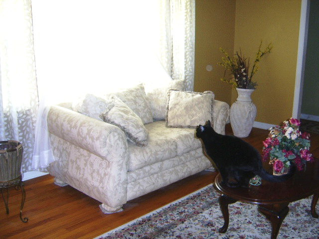 1531 Pine Log Road Aiken, SC 29803 - Photo 3 of 11 Gallery Image 3