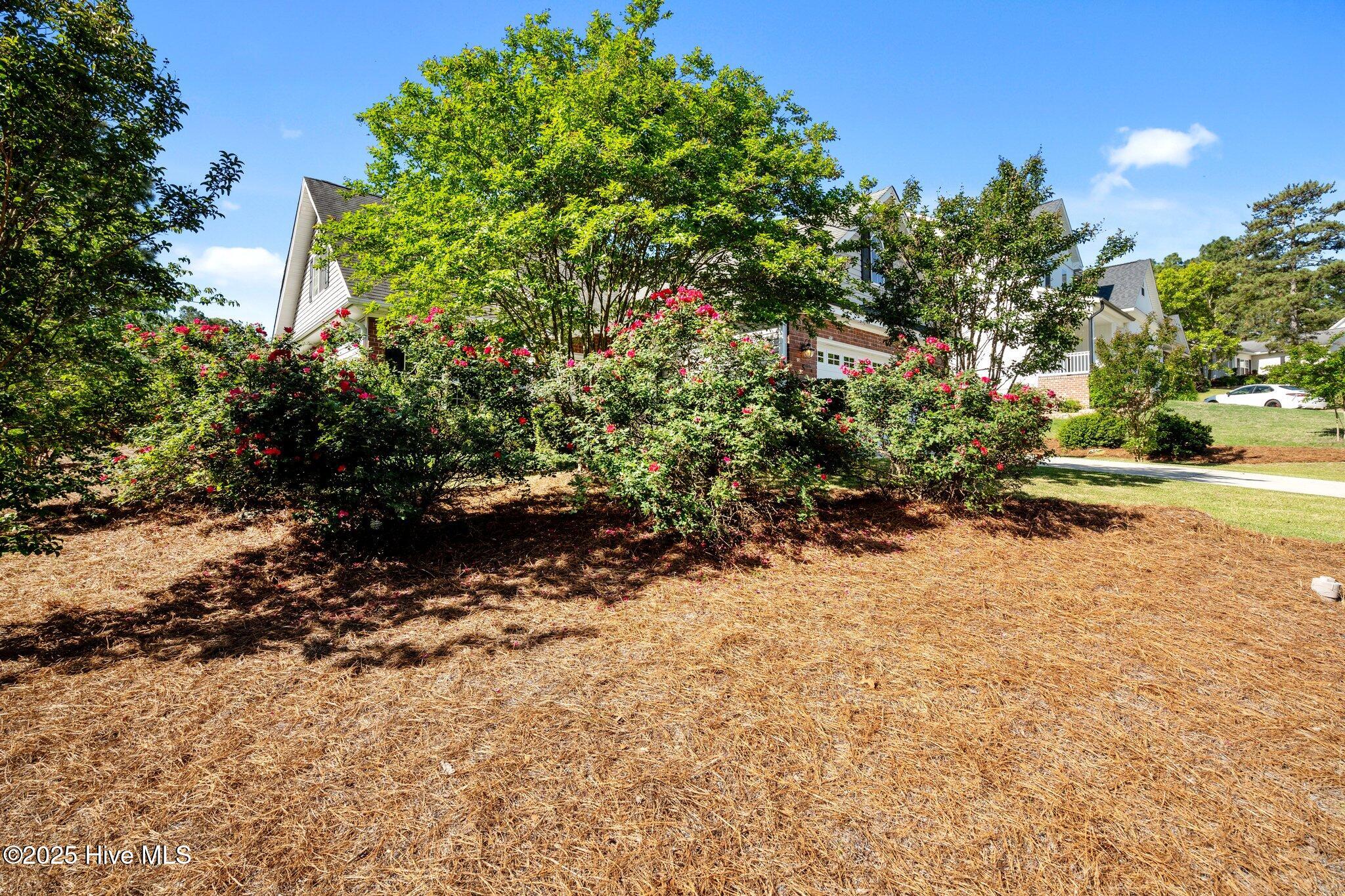 5 Adams Circle Pinehurst, NC 28374 - Photo 5 of 44 36-web-or-mls-DSC02775