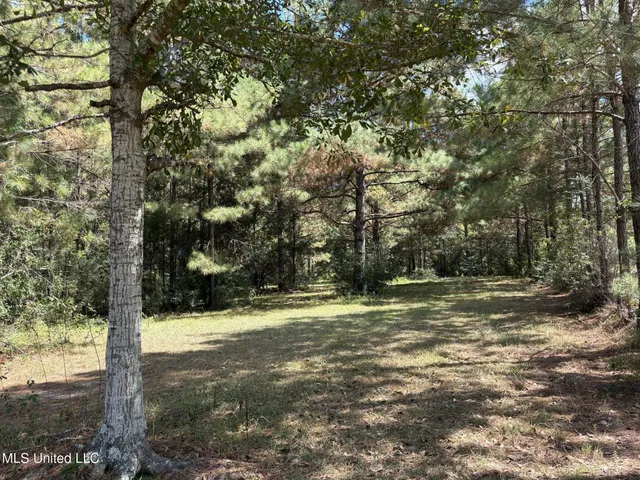 $950,000 | 22473 Yankee Town Road, Saucier, MS 39574