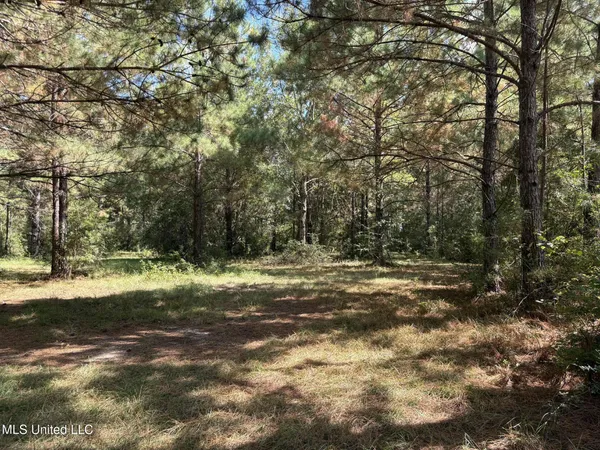 $930,000 | 22473 Yankee Town Road, Saucier, MS 39574