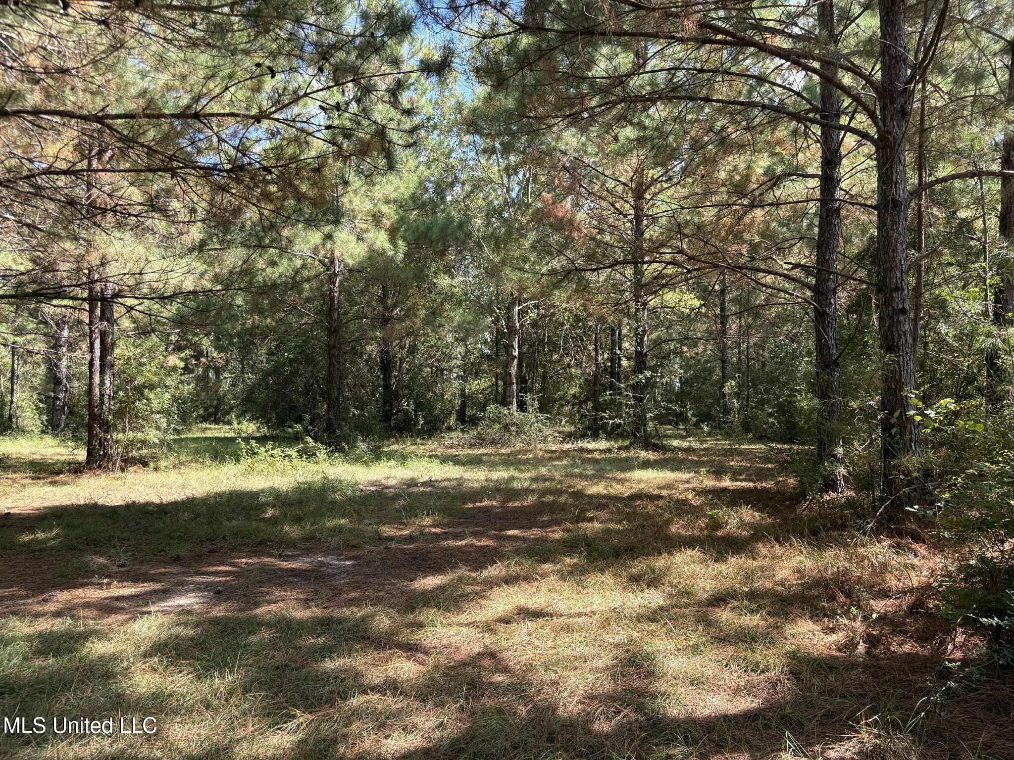 22473 Yankee Town Road Saucier, MS 39574 - Photo 66 of 67 17Landae