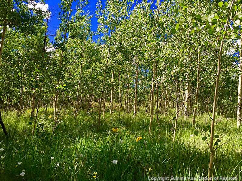 670 Adventure Road Alma, CO 80420 - Photo 5 of 8 Gallery Image 5
