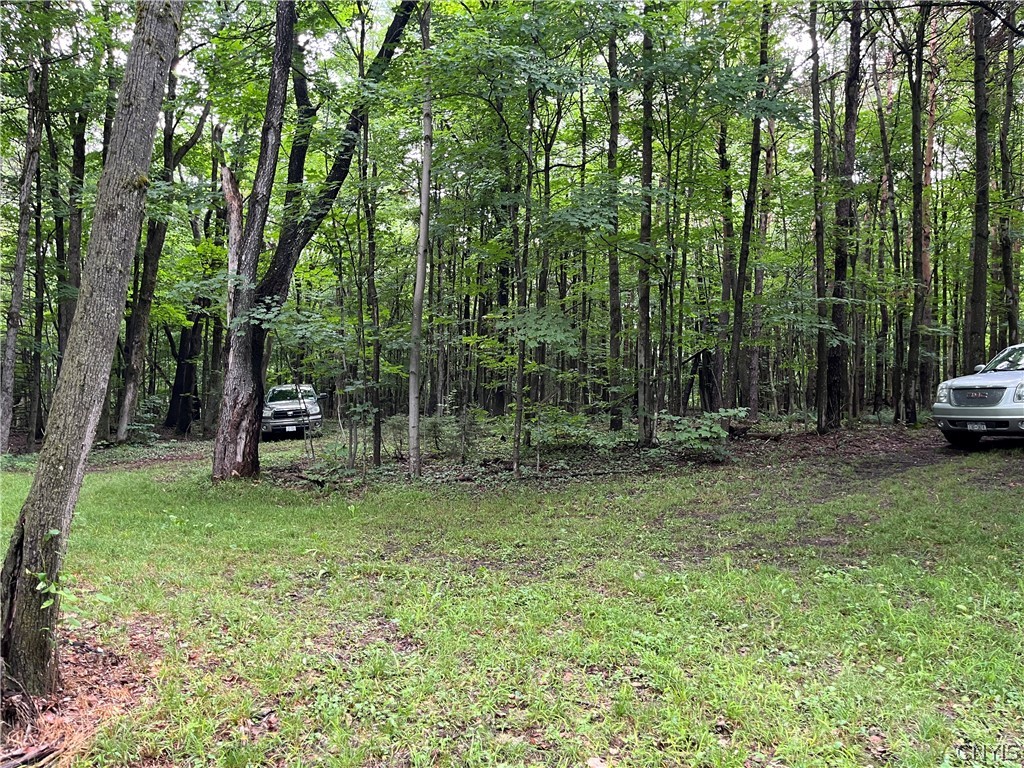 9657 Gardner Road Pinckney, NY 13626 - Photo 10 of 29 Gallery Image 10