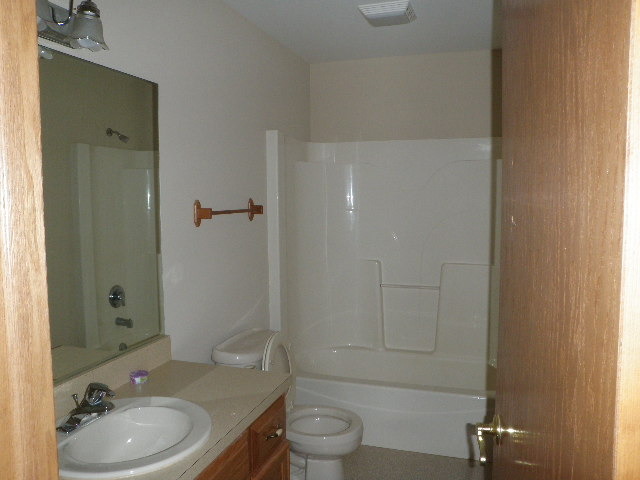 4780 East Grinter Road Gardner, IL 60424 - Photo 8 of 12 a bathroom with a sink a toilet and shower