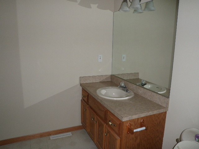 4780 East Grinter Road Gardner, IL 60424 - Photo 9 of 12 a bathroom with a sink and a mirror