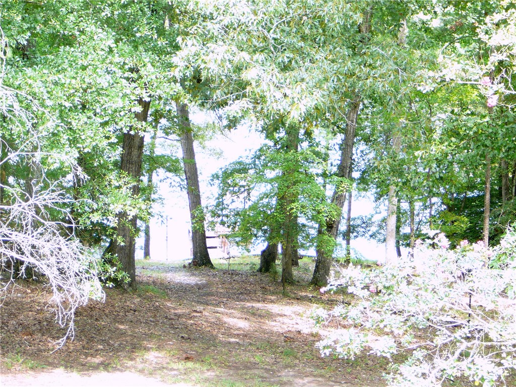 1405 Shirley Drive Anderson, SC 29621 - Photo 11 of 33