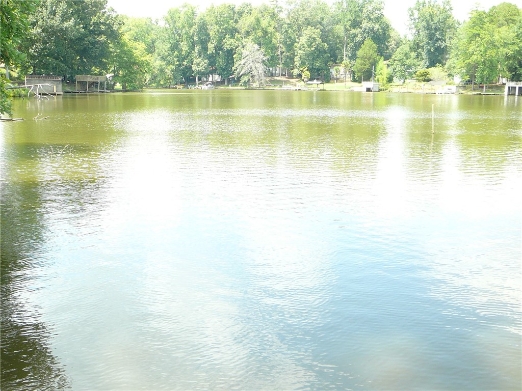 1405 Shirley Drive Anderson, SC 29621 - Photo 15 of 33